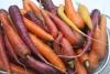 colorful carrots