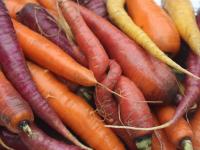 colorful carrots