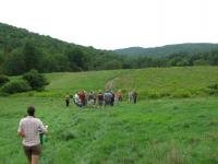Pasture walk at Franklin Farm in southern Vermont
