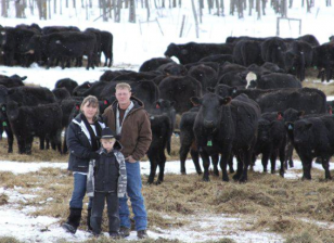 family with cattle herd