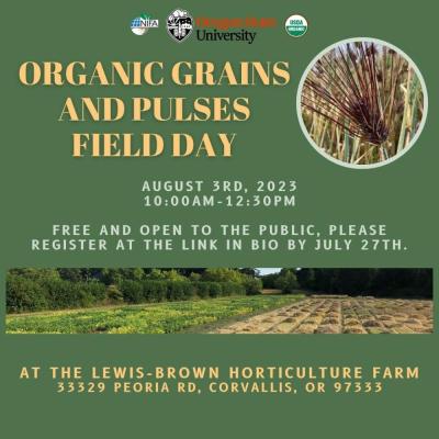 Organic Grain and Pulses field day