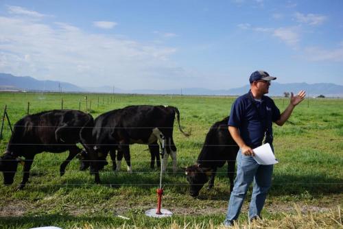 Clay Isom field day presentation