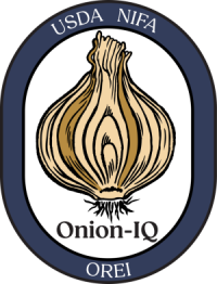 Onion IQ logo