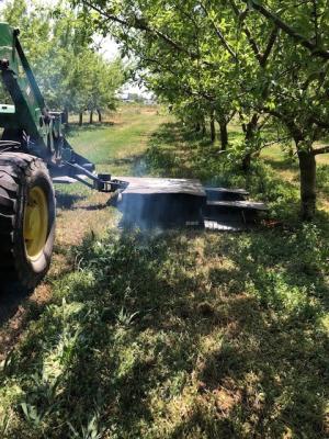 EWC machine in almond orchard