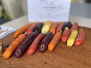 Fantasia carrots