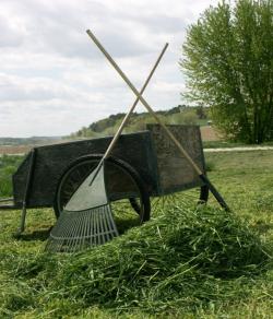 organic farm
