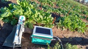 Photosynthetic phenotyping machine